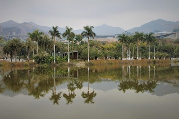2003661