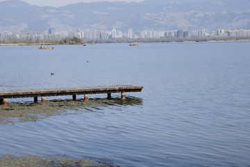 2004024
