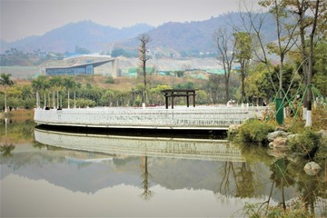 2003663
