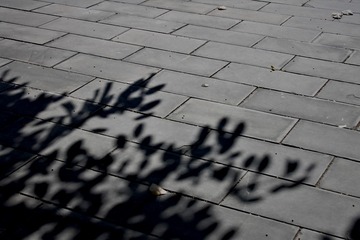 2006186