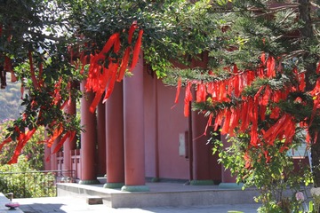 2005001