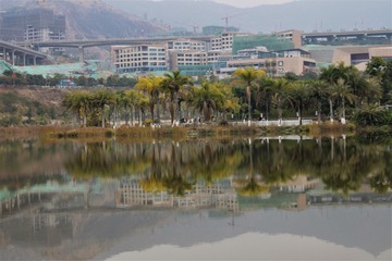 2003664