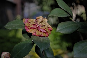 2003598