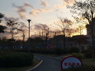 564896
