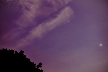 F815E11C-8FAE-42F0-B5C1-618E5E4C2946/L0/001