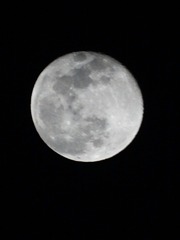 2608284