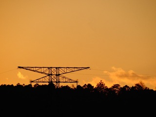2633719