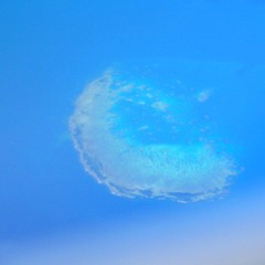 2011-3--3 021.jpg