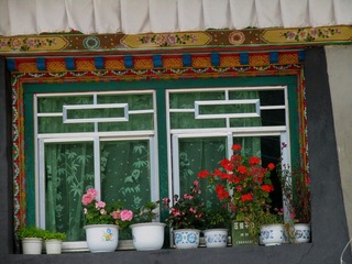 照片 245.jpg