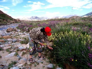 100_0210.jpg