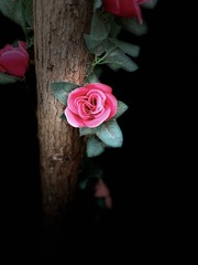 3AD9DB7D-AE84-4859-9E1B-D110A2EE55D4/L0/001