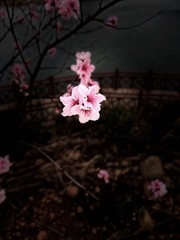 0A153403-82F2-48C1-A3FD-68667F93DDC3/L0/001