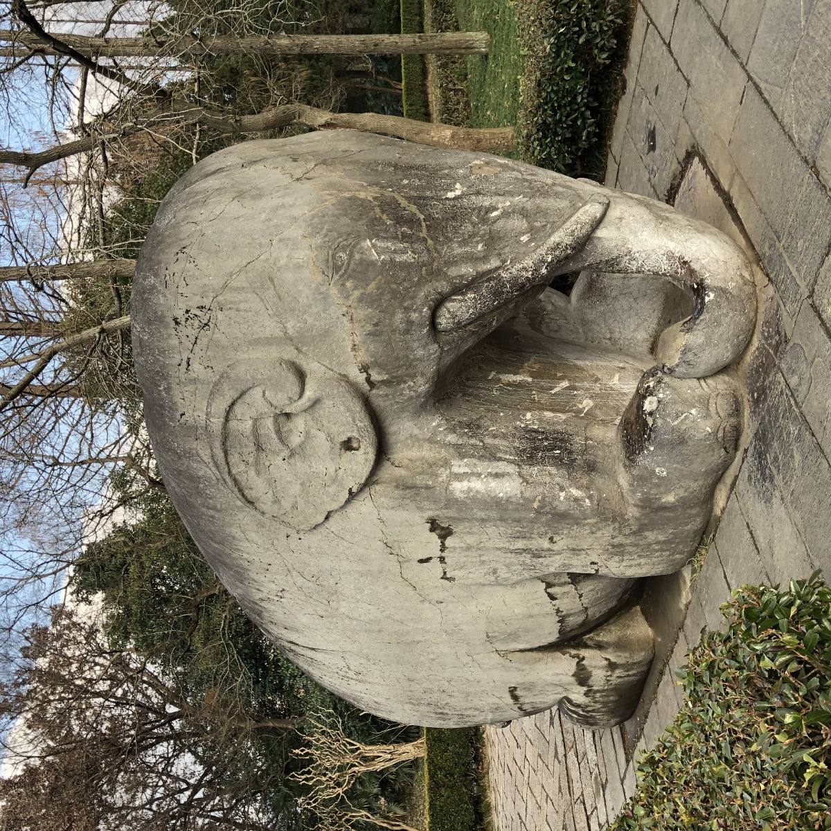 明孝陵石象路上的动物石象