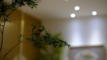 F38B0BB0-FBB0-4B1C-9FD3-3AFC6752720E/L0/001