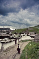 IMG_7536_1