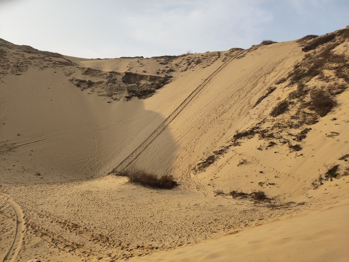 南方沙漠沙岭庐山市鄱阳湖岸