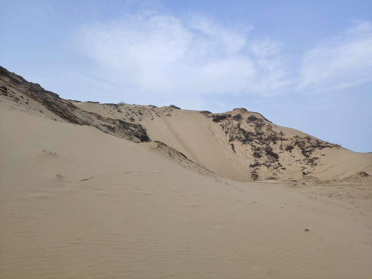 南方沙漠沙岭庐山市鄱阳湖岸