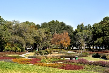 20107