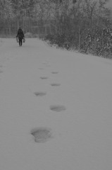 IMGP4594.JPG