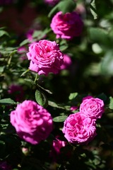 3E19735A-344B-4826-B74E-8C430F8C1750/L0/001
