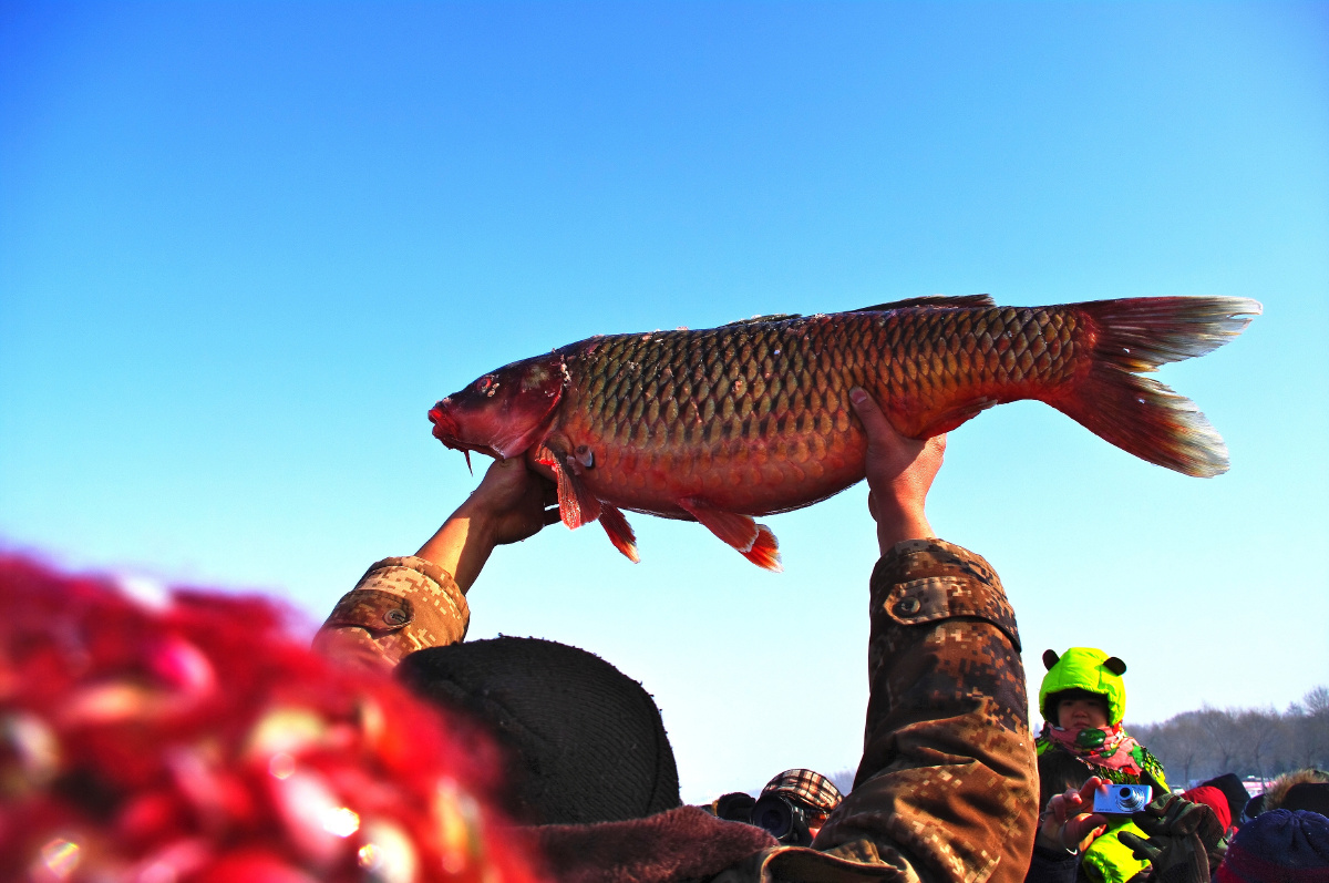 沈阳棋盘山秀湖冬季捕鱼