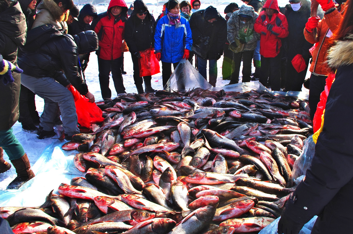 沈阳棋盘山秀湖冬季捕鱼