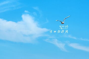 VHJ1eGpSQVNlM2ZneWU4OVF3Z1lYRVRTejVQY0ZiZlI4dHFNdEE1bitWRTJ4OEplRWFXVklRPT0