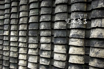 _IGP3648