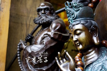 _IGP3684