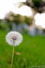 20120418-IMGP6779.jpg