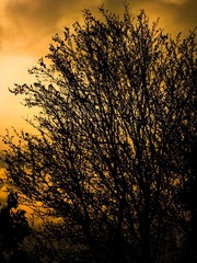 66D1E3B8-DB2F-49A9-9302-95FB72CD8297/L0/001