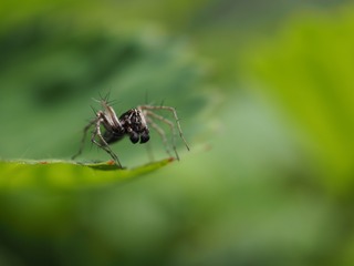 P6190071