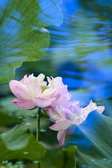 8CC851C5-46FF-4EDB-956F-0BEE626B4925/L0/001