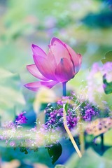4E59C35C-6AB7-4F45-9B6A-74B0EF1F574D/L0/001