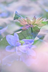 EB69860F-1901-44C1-984F-306196D6DF81/L0/001