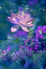 C5078978-2E75-4C7A-9C01-DFC6910EA994/L0/001