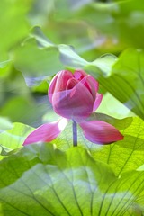 630F481C-E753-48E6-BCCA-9B7A117DCD0B/L0/001