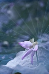 3E636656-087C-4D92-BFB1-E9BACABD7B07/L0/001