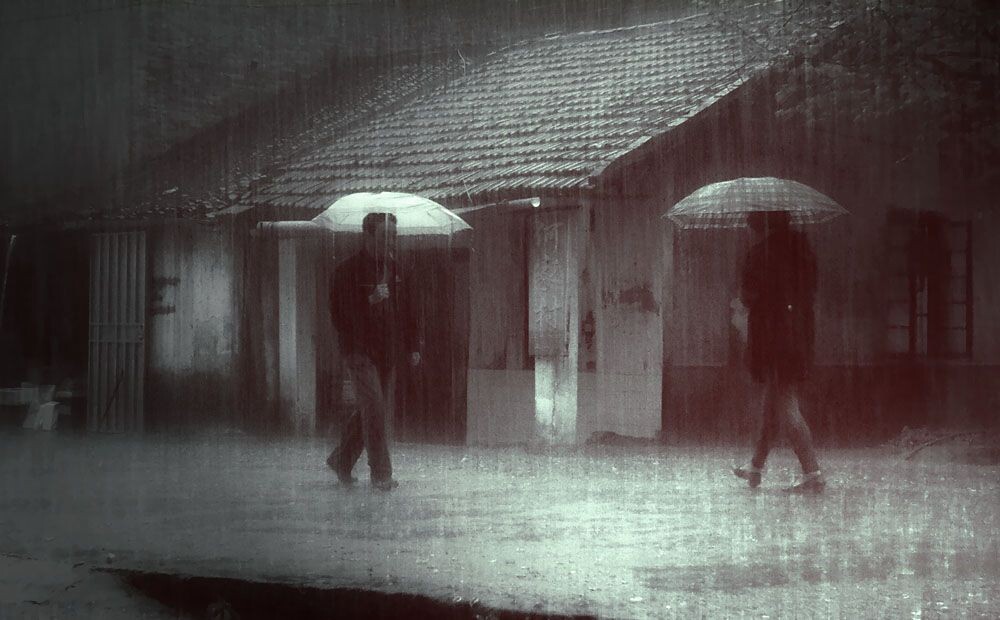 清明节气雨纷纷<br />
