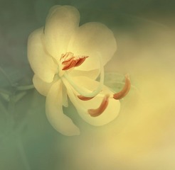 IMG_7402 