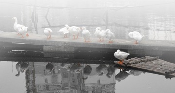 IMG_7389 