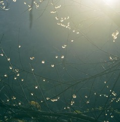 IMG_2455 副本.jpg