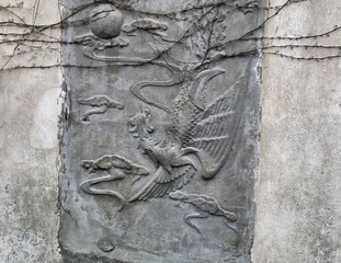 IMG_2431 .jpg