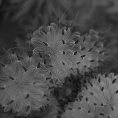 IMG_3115 副本.jpg