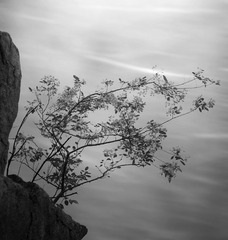 IMG_2366.jpg