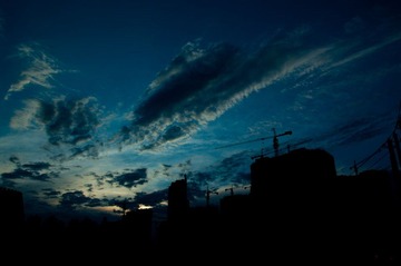 IMGP6790.jpg