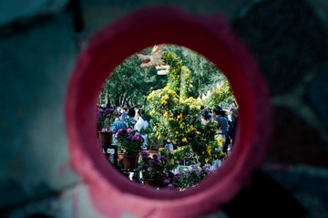 IMGP8270.jpg