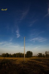 IMGP0161_副本.jpg
