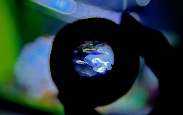 _YQG1673