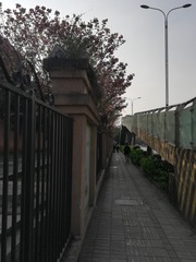 155027